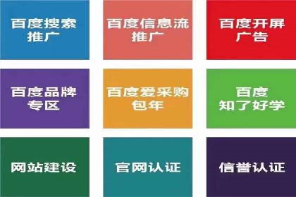 行业领先企业的sem代运营机构合作经验分享